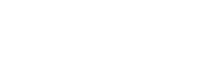 dena logo